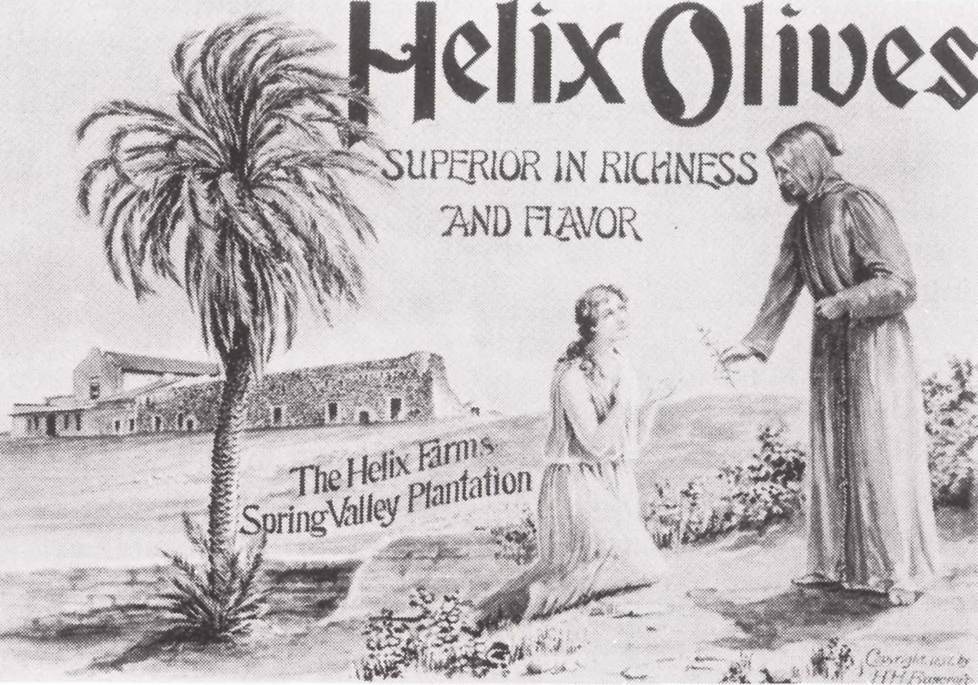 Helix Olives Label