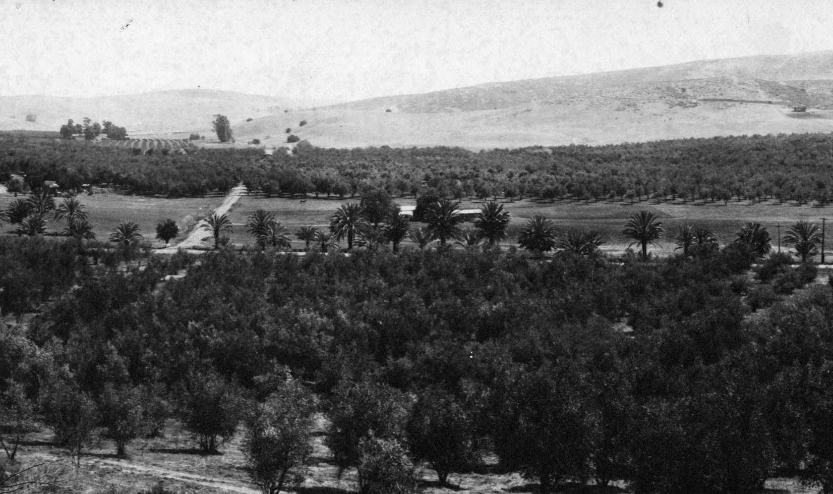 Spring Valley: 1920, Southeast