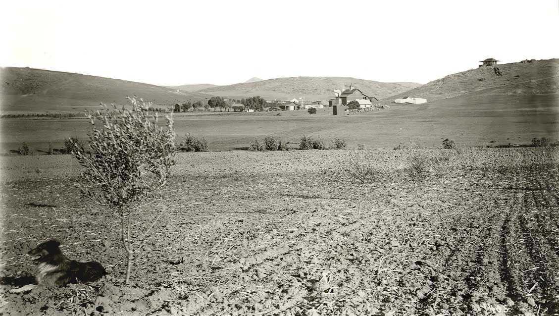 View of Helix Farms: 1890